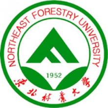 东北林业大学林学（森林保护学）考研辅导班