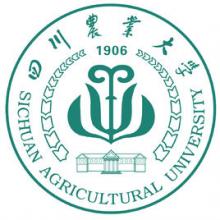 四川农业大学作物遗传育种考研辅导班