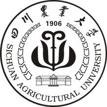 四川农业大学小麦研究所农艺与种业考研辅导班