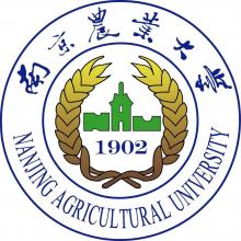 南京农业大学农业信息学考研辅导班