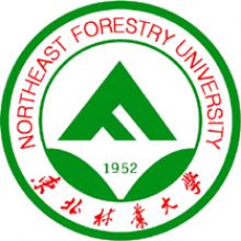 东北林业大学碳汇林经营考研辅导班