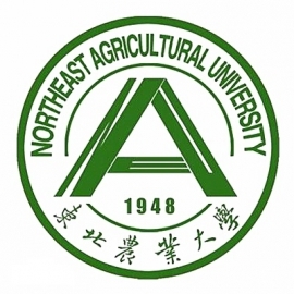 东华大学考研辅导班